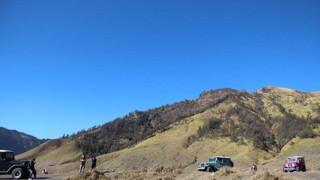 Memanjakan mata menikmati keindahan bukit 'Teletubbies' di Bromo