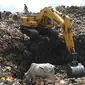 Keduanya kadang beradu cepat membongkar tumpukan sampah di TPA yang menampung sampah warga Kota Makassar itu.