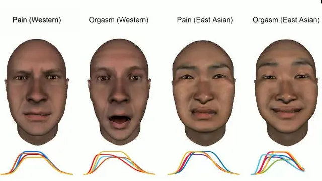 Ekspresi wajah saat orgasme dan nyeri. (Foto: Screenshoot pnas.org)