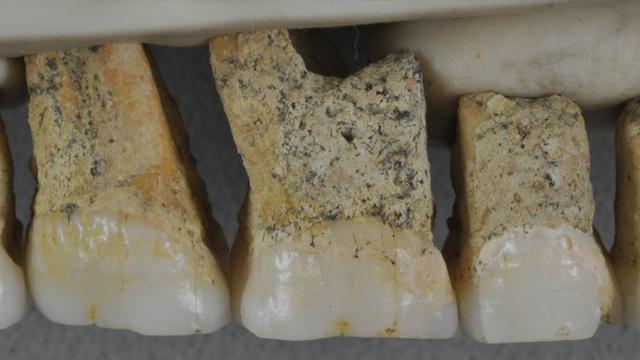 Spesies Baru Manusia di Filipina