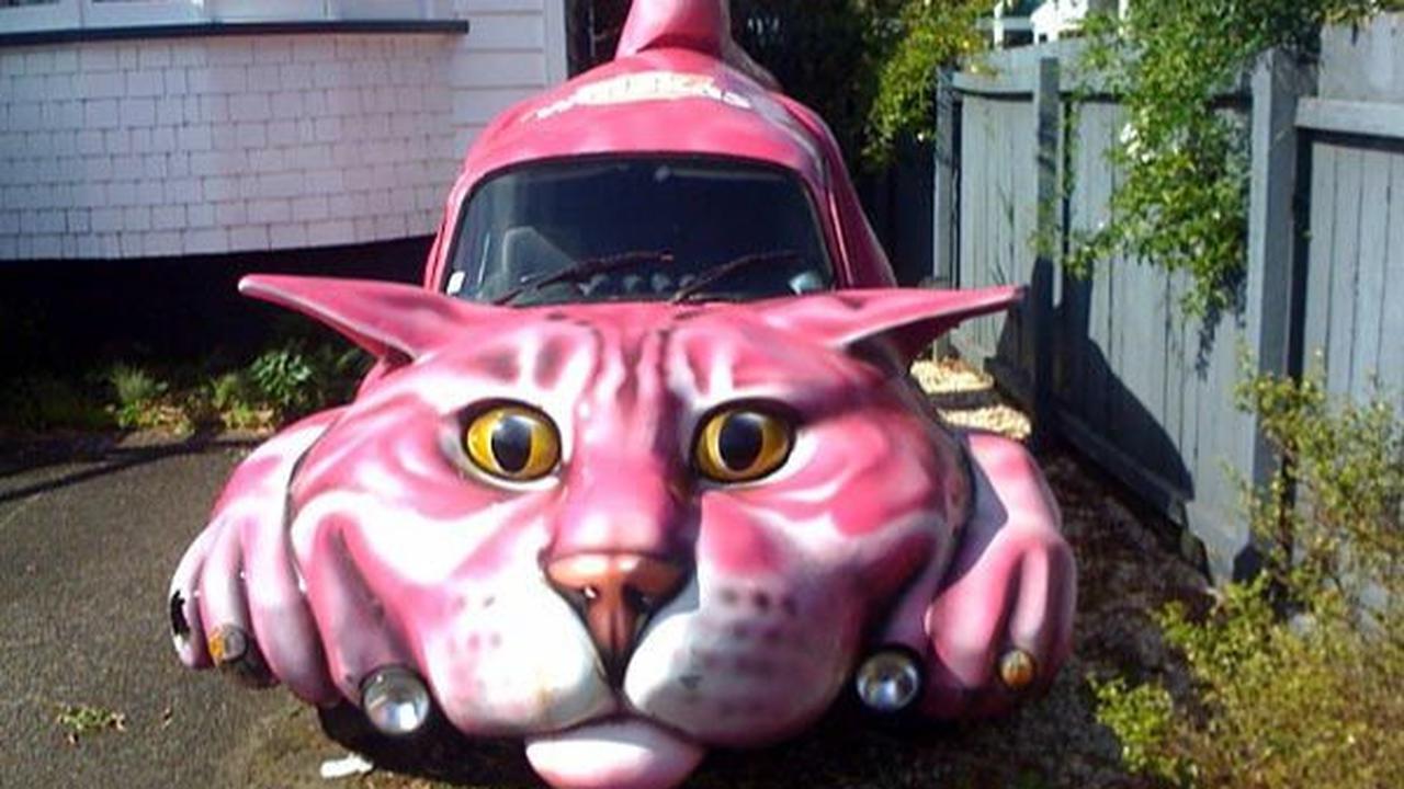 7. Kucing memiliki bentuk