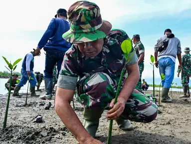 Tentara dan nelayan menanam benih mangrove sebagai bagian dari program lingkungan hidup yang dipimpin militer di pantai pesisir Banda Aceh, Aceh, Indonesia, Rabu (18/10/2023). (CHAIDEER MAHYUDDIN/AFP)