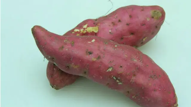  Ubi Jalar Pengganti Nasi