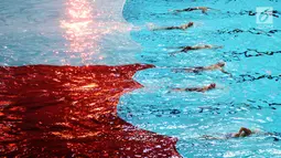 Sejumlah perenang menarik bendera Merah Putih saat pembukaan Indonesia Open Aquatic Championship 2017 di Stadion Aquatic GBK, Jakarta, Selasa (5/12). Ajang ini merupakan test event jelang Asian Games 2018. (Liputan6.com/Helmi Fithriansyah)