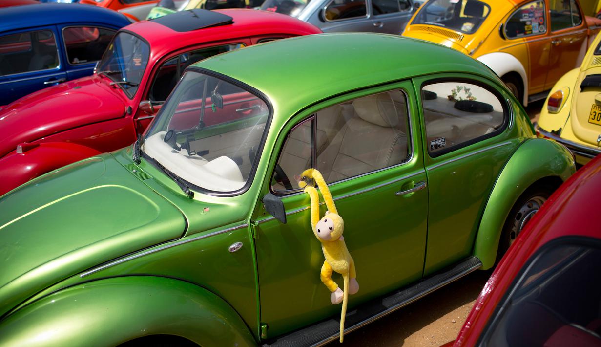 Volkswagen Beetle dipamerkan dalam ajang pertemuan tahunan "Beetle club" di Yakum, Israel tengah (21/4). Klub Beetle Israel ini didirikan pada tahun 2001 dengan anggota sekitar 500 orang. (AP Photo / Oded Balilty)