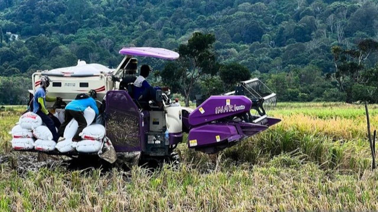 Filantropi Google Beri Hibah USD 3,5 Juta ke Perusahaan Solusi Pertanian Berbasis AI