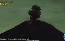 Gunung Semeru Erupsi Berulang, Kolom Abu Capai 1 Km, Status Siaga Ditetapkan