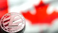 Coins Litecoin. Foto: Freepik/pvproductions