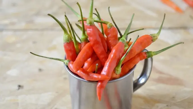 Photo: Copyright Nandang Wuyung