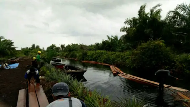 Illegal Logging