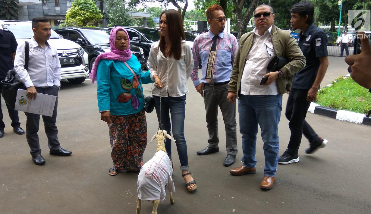 Mantan model majalah pria dewasa, Putri Stagi bersama pengacaranya Razman Arif Nasution membawa  kambing ke Polda Metro Jaya, Rabu (29/11). Kambing itu dipasangi kain 'Tolong Jangan Hina, Samakan Saya dengan Kambing'. (Liputan6.com/Nafiysul Qodar)