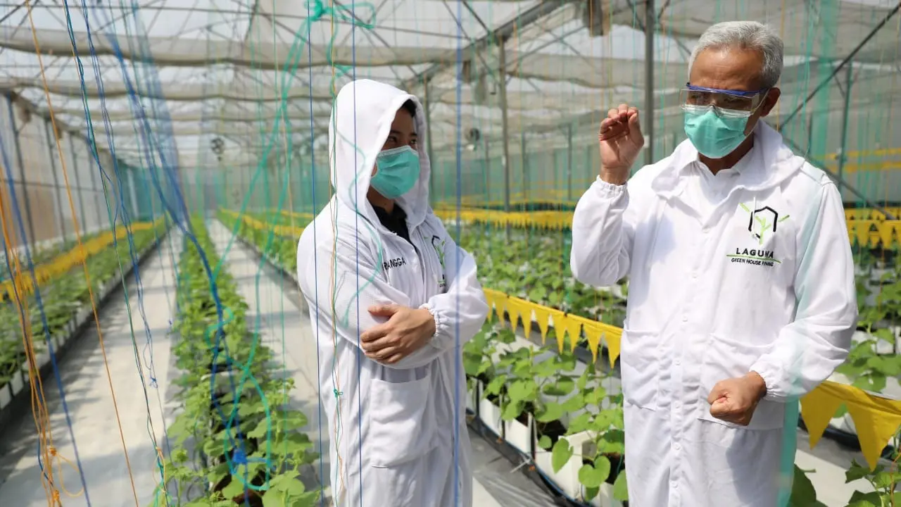 Inovasi Melon Petani Muda Asal Kudus Ini Bikin Gubernur Jateng Takjub