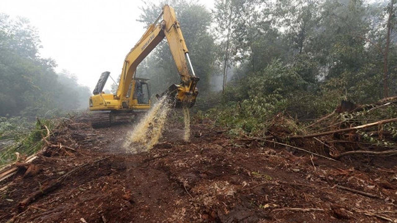 Kisah pekerja kebun kelapa sawit berjibaku padamkan kebakaran hutan