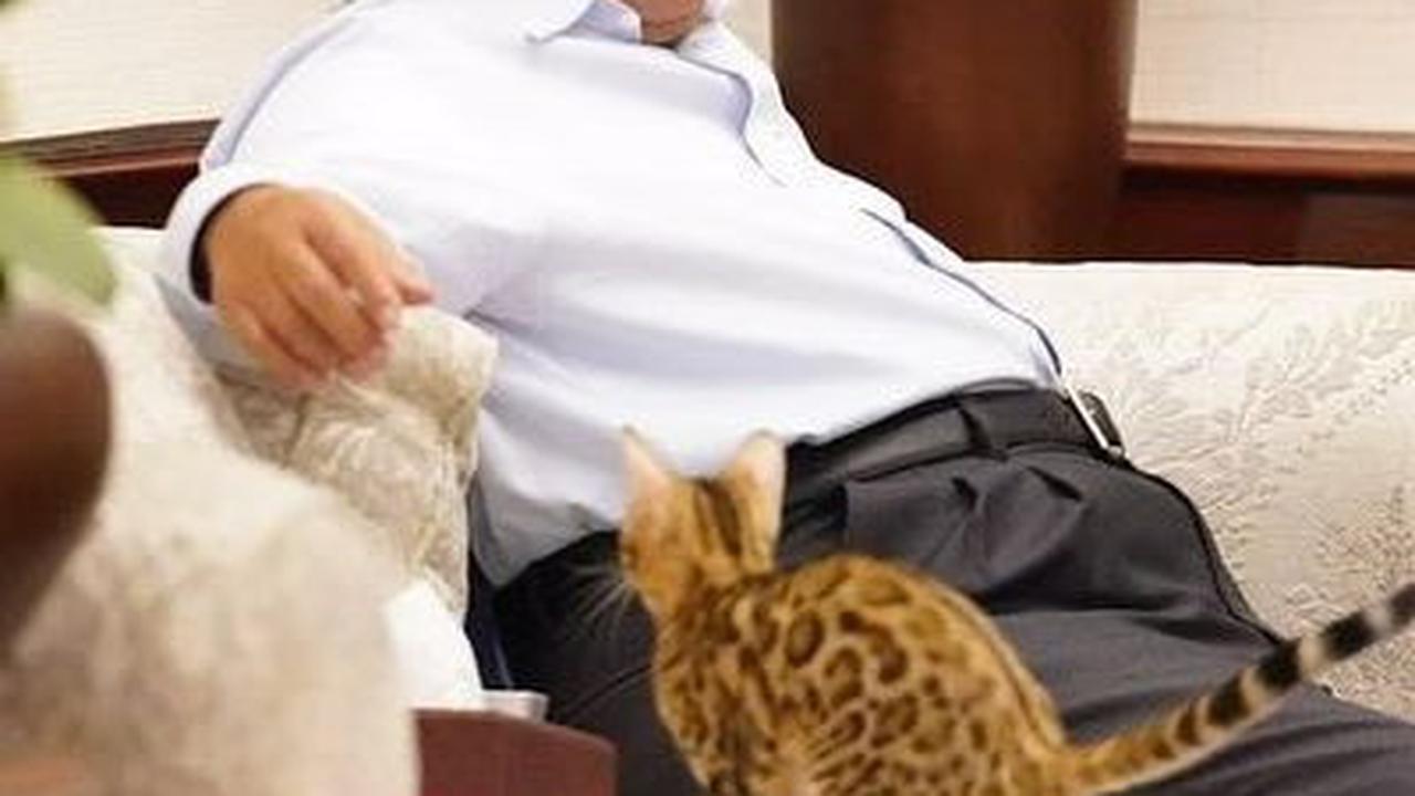Politikus PDIP Kritik Kenaikan Pangkat Kehormatan Prabowo: Seperti di Era Orde Baru