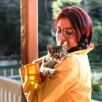 Ilustrasi Penanganan untuk Kucing Kurus di Rumah Credit: pexels.com/Mel