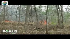 Api yang membakar belasan hektar lahan hutan jati di Ponorogo, Jawa Timur, hingga kini  belum bisa dipadamkan. Kebakaran bahkan terus meluas hingga mendekati permukiman warga.