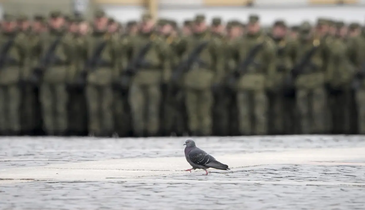<p>Seekor merpati berjalan selama latihan untuk parade militer Hari Kemenangan Perang Dunia II di St. Petersburg, Rusia, Selasa (26/4/2022). Rusia memperingati 77 tahun kemenangan dalam Perang Dunia II dengan menggelar parade militer yang akan berlangsung di Lapangan Dvortsovaya (Istana) pada 9 Mei 2022 mendatang. (AP Photo/Dmitri Lovetsky)</p>