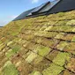 Motode atap hijau yang bisa membantu mengurangi panas yang ada di dalam rumah. (dok. Instagram @groendak/ https://www.instagram.com/p/BlKooBSnKle/?igshid=sl4flv77vd7h/ Dinda Rizky)
