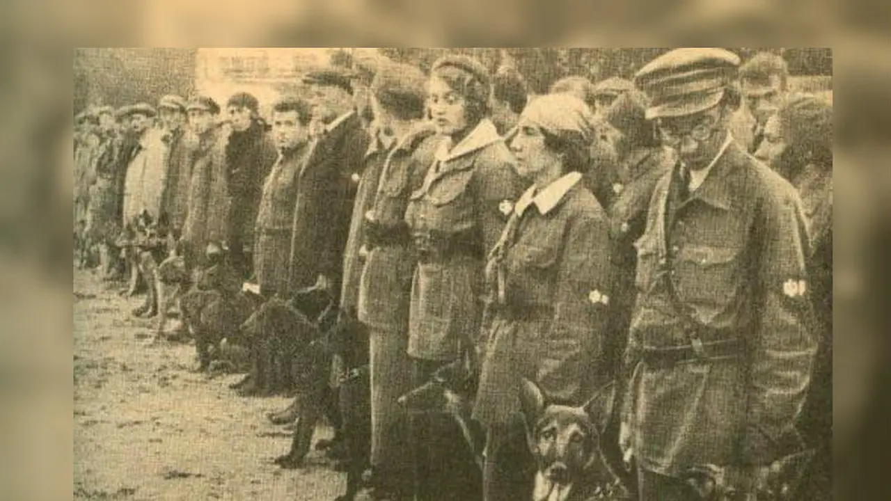 Uni Soviet menerjunkan anjing ke medan tempur Perang Dunia II
