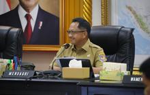 Mendagri Dorong Pemda Lindungi Lahan Sawah Demi Ketahanan Pangan Nasional