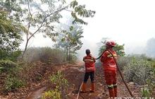 Pemkab Pelalawan Tetapkan Status Siaga Darurat Karhutla, Riau Bersiap Menyusul