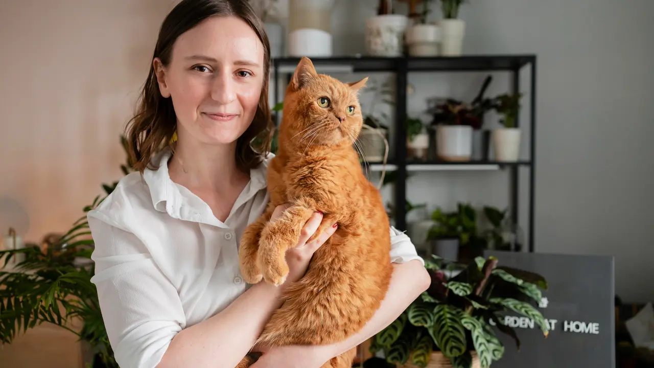 Cat Owner