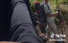 Pria Ini Ajak Adik Kecilnya Naik Gunung, Aksinya Viral Curi Perhatian Warganet