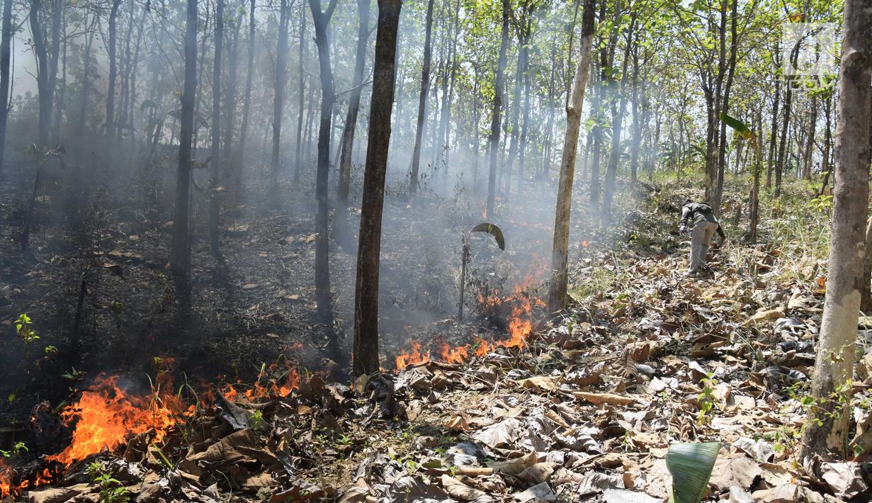 FOTO Diduga Akibat Puntung Rokok  Kebakaran Hanguskan 