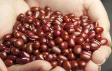 Cara Masak Kacang Merah agar Cepat Empuk Tanpa Baking Soda, Cuma Butuh 1 Bahan Tambahan