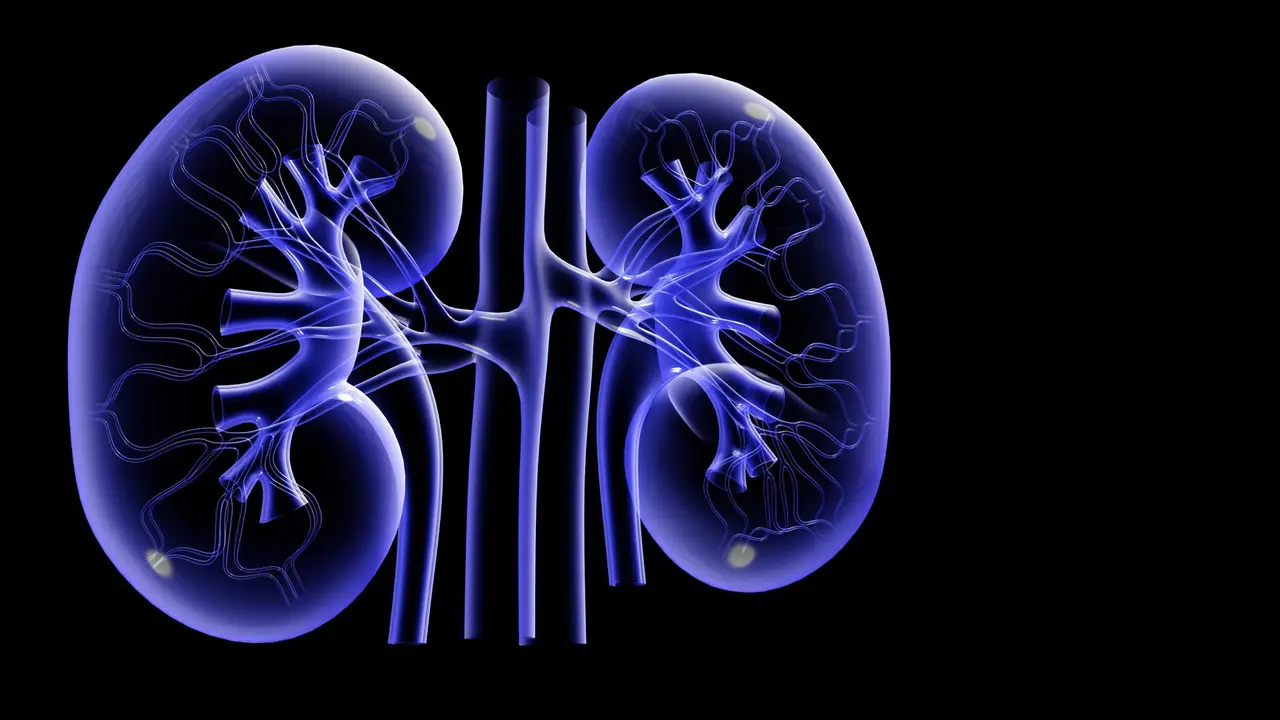 Prosedur Transplantasi Ginjal di RSCM Sangat Ketat