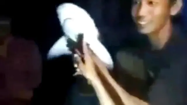 Hiu yang Ditemukan Nelayan di Sungai Musi Berakhir Jadi Ikan Asin