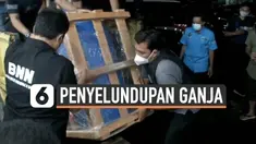 Upaya penyelundupan ganja seberat setengah ton berhasil digagalkan petugas Badan Narkotika Nasional hari Selasa (9/2) dini hari. Ganja dikemas dalam pipa paralon untuk kelabui petugas.