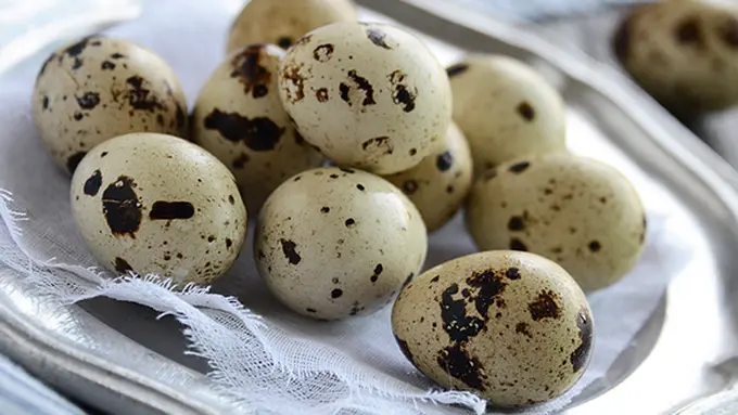 (C) anediblemosaic.com