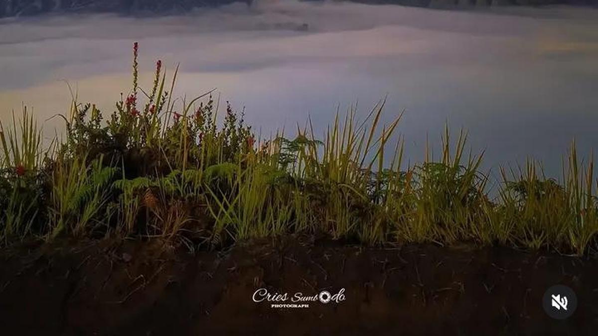 Gunung Bromo Ditutup Selama Ritual Yadnya Kasada, Berlaku Mulai 30 Mei 2026