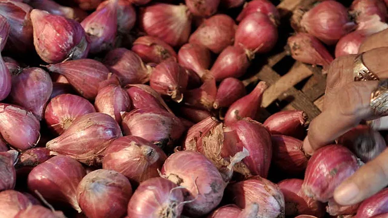 "Saya beli dari pemasok bawang merah di harga Rp28.000- Rp30.000 per kg, bisa beli eceran minimal Rp5.000," kata Kulsum.