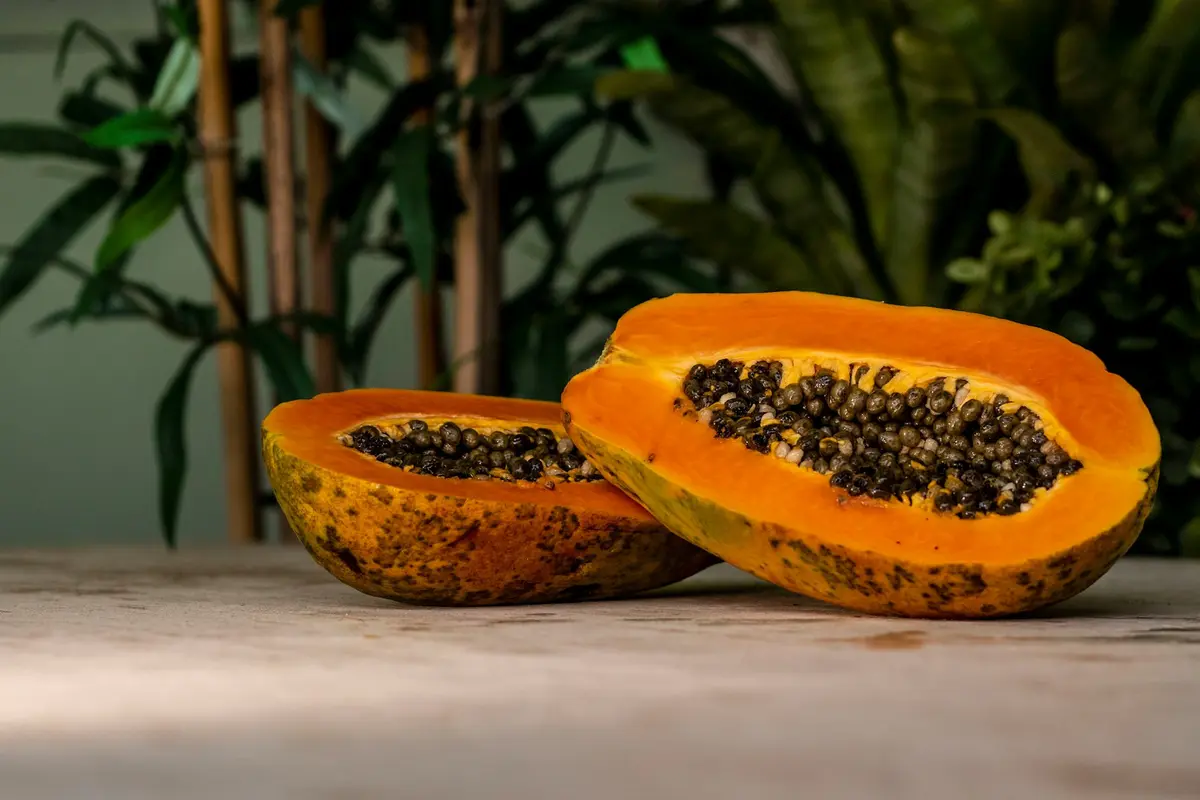 Papaya