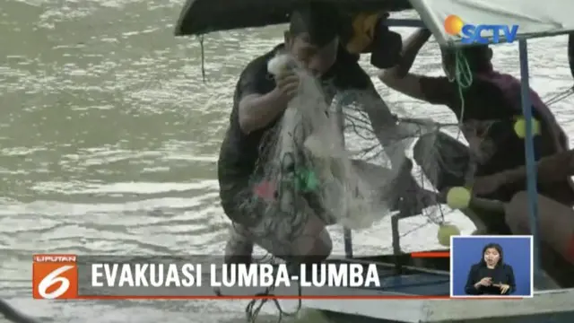 Lumba-lumba yangs empat tersasar di Sungai Kualuah, Labuan Batu, telah dievakuasi BKSDA Sumatra Utara.
