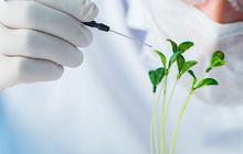 Manfaat Bioteknologi dalam Kehidupan, Kenali Jenis dan Cirinya