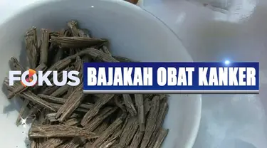 Viral anak SMA klaim bajakah dapat digunakan jadi obat kanker, Kemenkes akan melakukan penelitian lebih lanjut untuk memastikan kebenarannya.