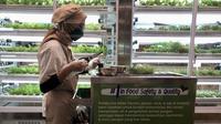 GREENS, gabungan konsep restoran dengan pusat pertanian multimensi,&nbsp;membuka gerai di Plaza Indonesia, Jakarta. (Liputan6.com/Asnida Riani)