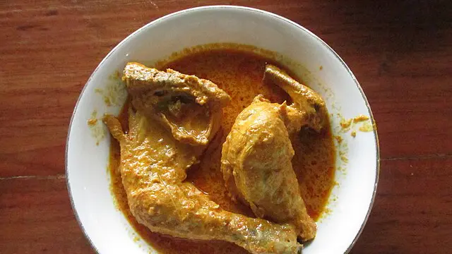 Ilustrasi Gulai Ayam