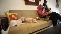 Wanita Palestina, Maha Mansoura (52) merawat kucing dan anjing dalam rumahnya di Kota Ramallah, Tepi Barat, 7 Oktober 2020. Hewan telantar di Ramallah dapat menikmati tempat berlindung yang aman setelah Maha Mansoura mengubah rumahnya menjadi tempat penampungan. (Xinhua/Ayman Nobani)