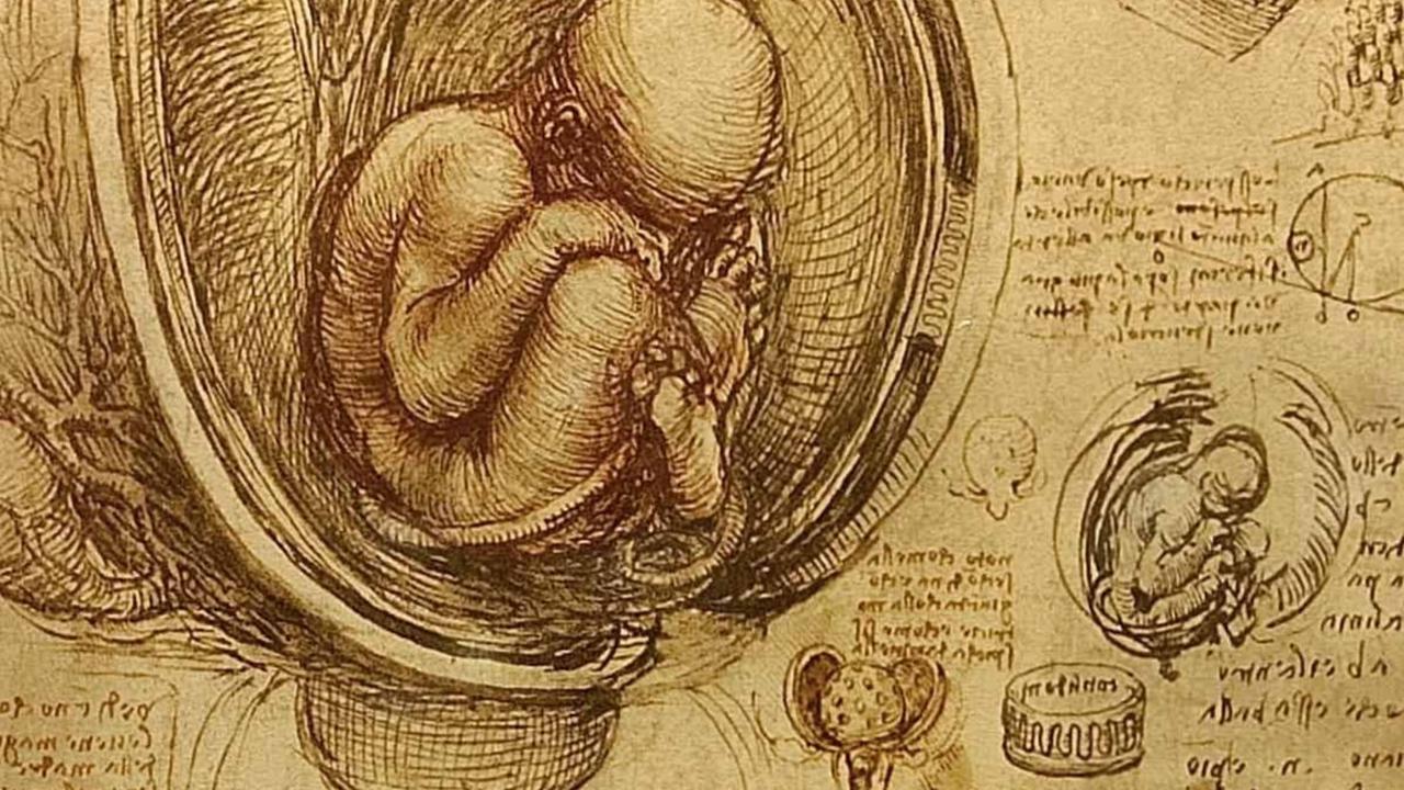 Dalam berbagai karyanya yang menampilkan anatomi tubuh manusia, da Vinci menggambarkan organ-organ dalam tubuh manusia dengan detail yang akurat.
