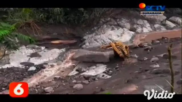 Alat berat jenis eksavator terseret banjir lahar dingin Gunung Semeru. Terdapat tiga alat eksavator yang sudah berhasil diidentifikasi oleh Tim SAR, meskipun belum dievakuasi karena masih melihat kondisi yang masih berbahaya.