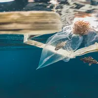 Ilustrasi sampah plastik di laut. (dok. unsplash @naja_bertolt_jensen)