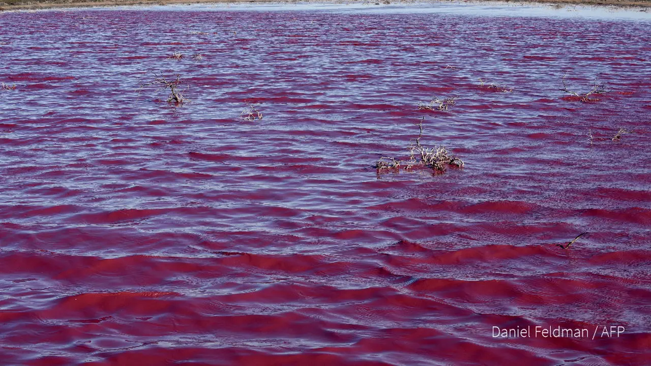 Bahaya di Balik Perubahan Warna Air Danau di Argentina Jadi Merah Muda
