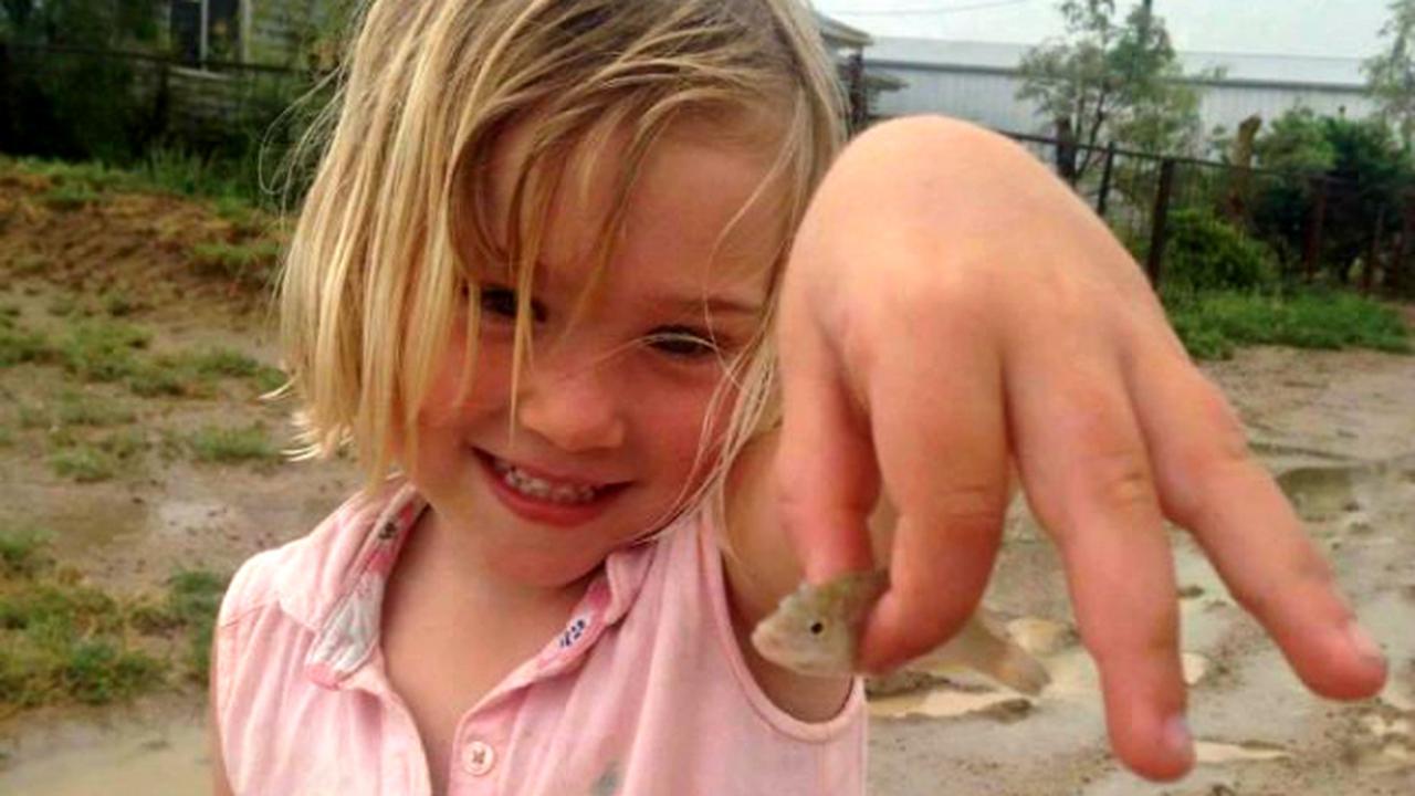 Aneh, Hujan Ikan di Musim Kering *VIDEO