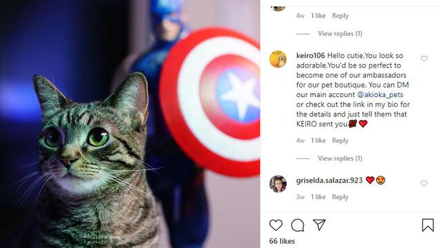 Belajar dari Pemiliknya, Kucing Ini Suka Sikat Giginya Sendiri