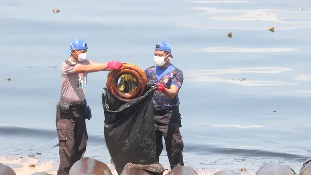 Teluk Balikpapan tercemar usai kapal MV Ever Judger menabrak pipa bawah laut milik pertamina (Abelda Gunawan/Liputan6.com)