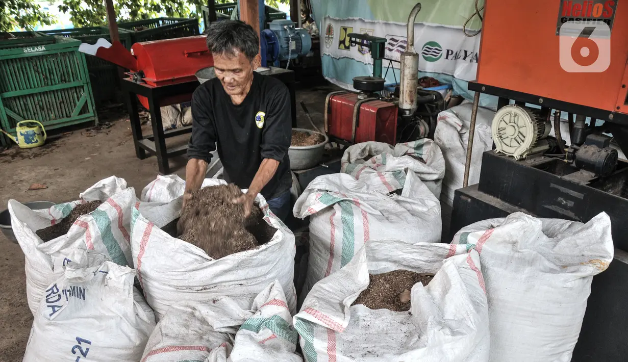 Petugas mengolah sampah organik untuk menjadi pelet bahan bakar nabati di Sekretariat Gerakan Ciliwung Bersih, Karet Bivak, Jakarta, Kamis (13/10/2022). Setelah tiga hari, olahan sampah itu akan mengeras dan siap dicacah lalu dicetak menjadi pelet batu bara nabati. (merdeka.com/Iqbal S. Nugroho)